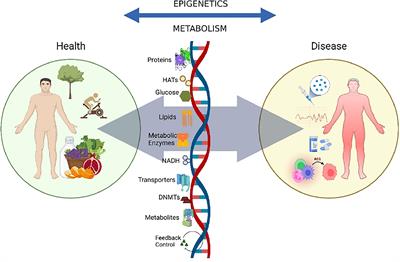 The metabolic addiction of cancer stem cells